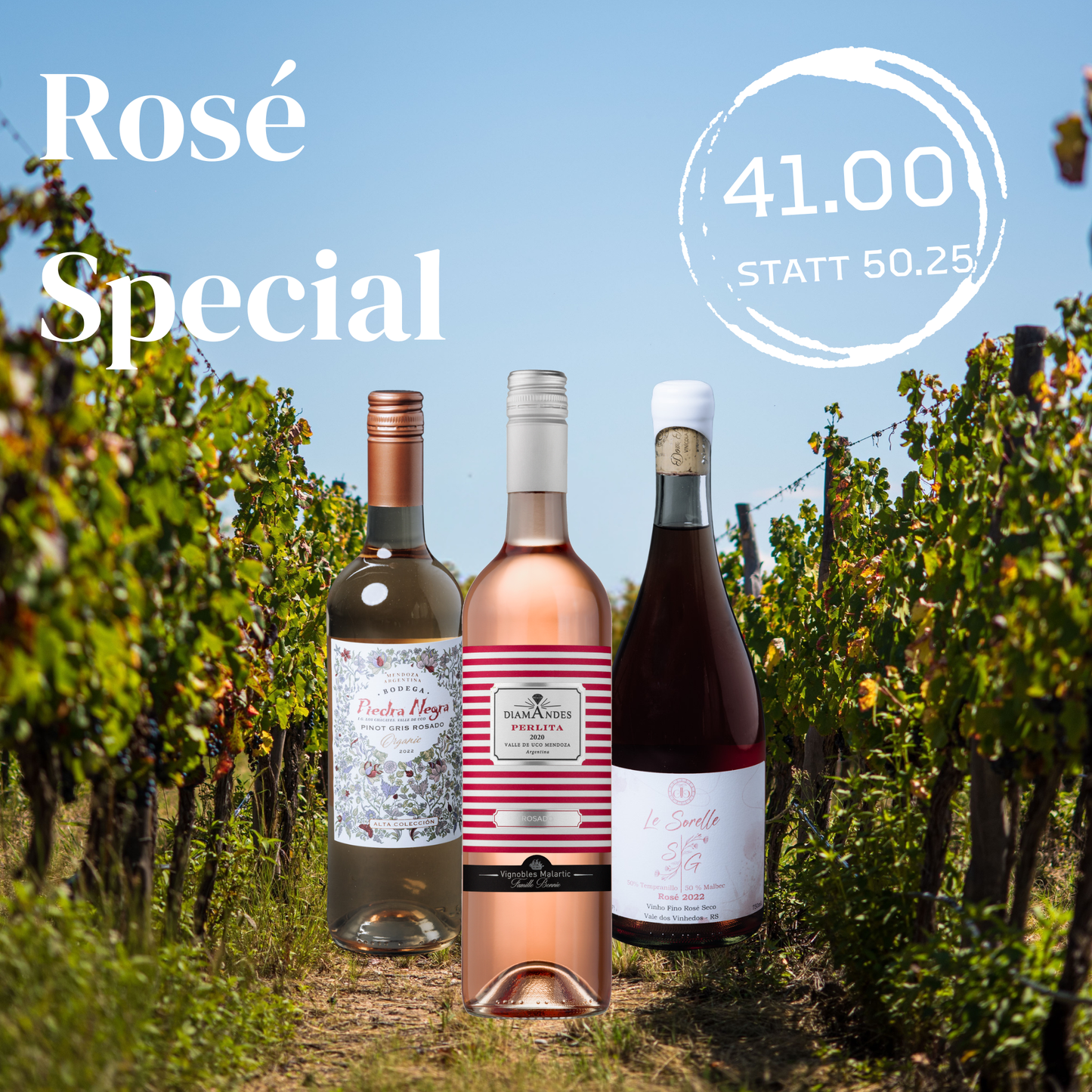 Rosé Season Box