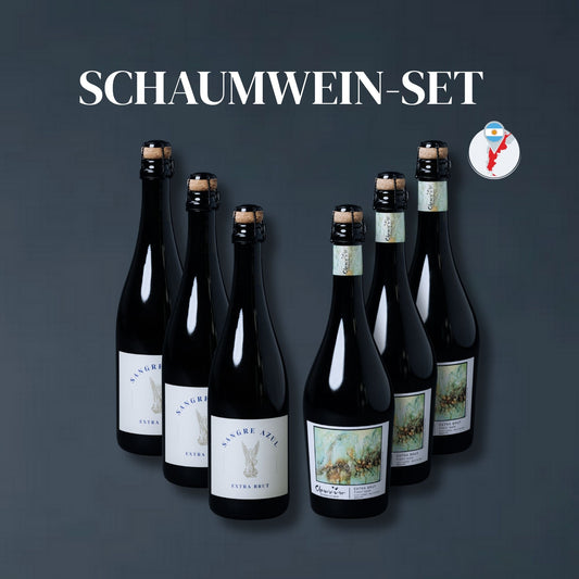 Schaumwein-Set