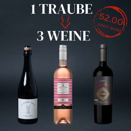 Malbec-Trio - 1 Traube & 3 Weine