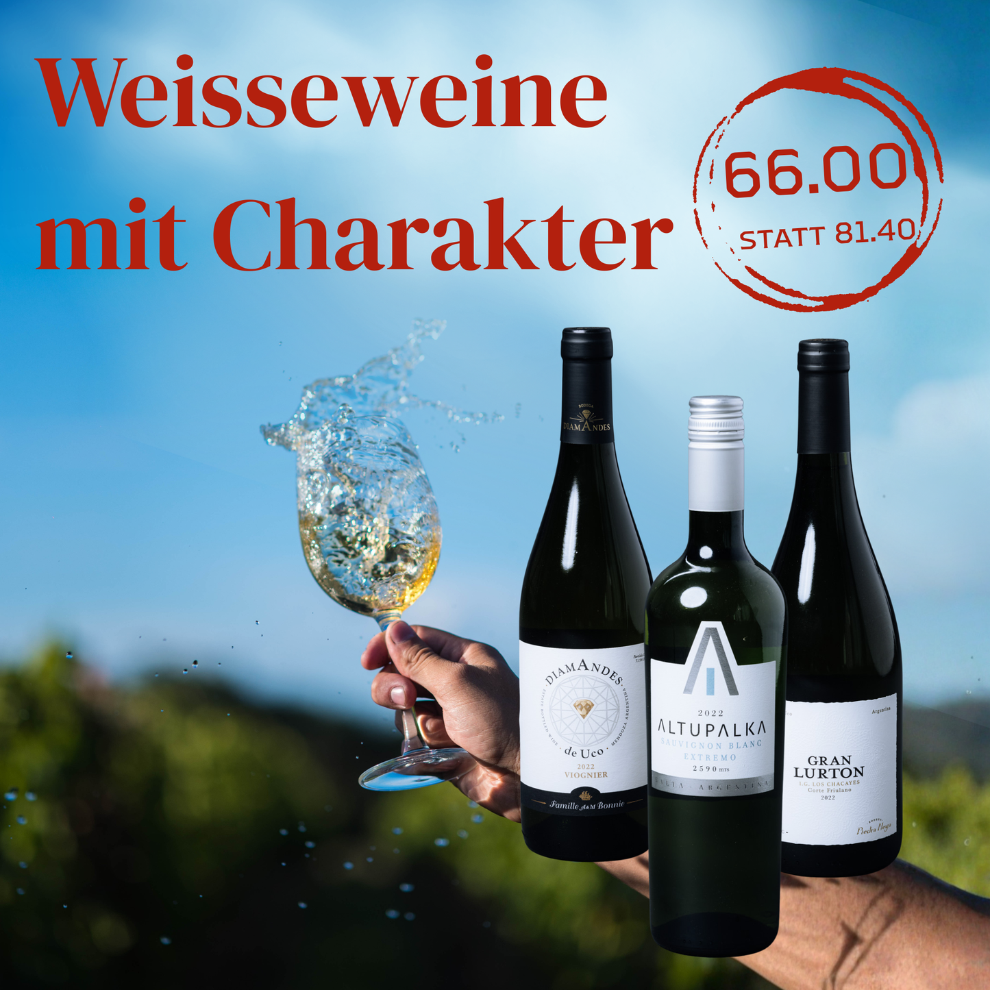 Weissweine mit Charakter - unsere Empfehlungen als Essensbegleiter